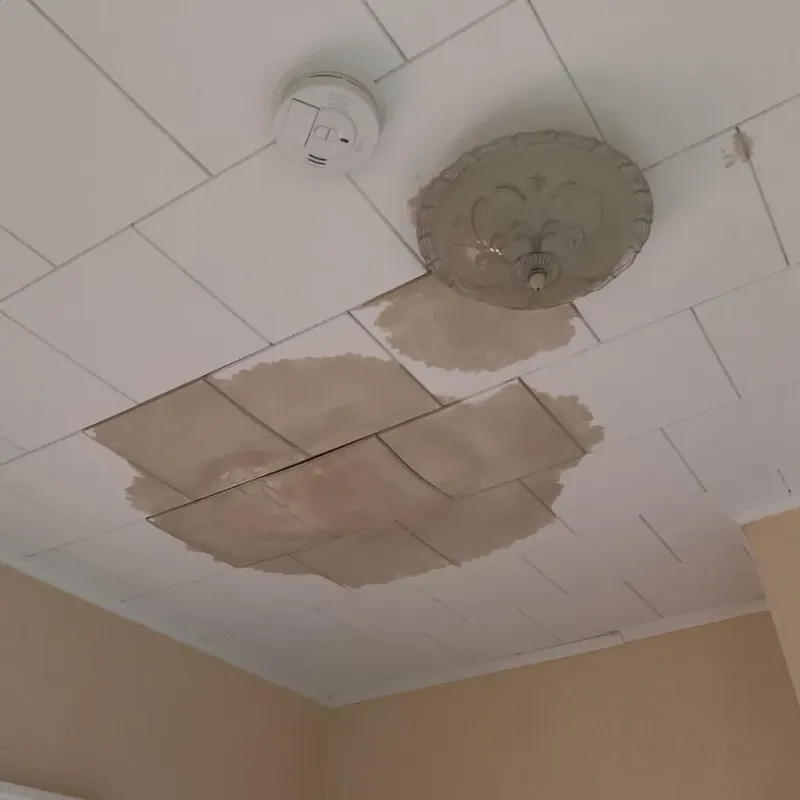 Ceiling Water Damage Repair in Dublin, GA